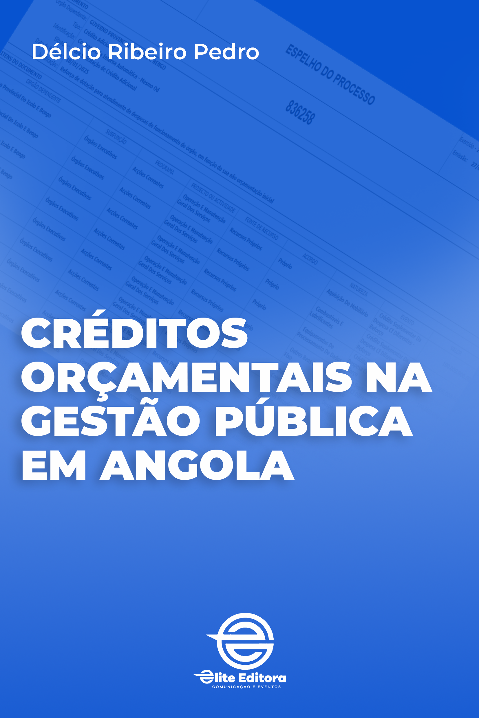 Capa do livro Orçamentais na Gestão Pública Angolana: Aspectos Teóricos e Aplicações
